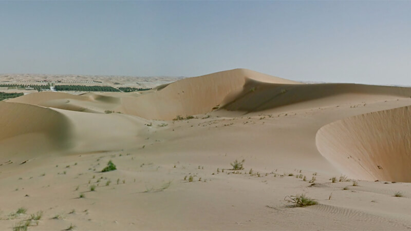 16. Liwa Desert